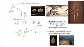 Becoming Human: Milestones in human evolution part 1