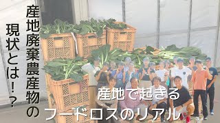 【農家訪問#1】大宮国際中等教育学校らと若谷農園へお邪魔しました