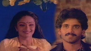 Nagarjuna,Radha Romantic Scene || Agni Putrudu Movie || ANR,Nagarjuna,Radha