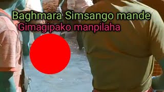 Baghmara Simsango mande gimagipako manpilaha