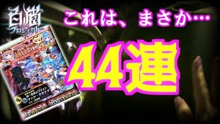 【白猫ガチャ】バレンタインガチャ　４４連　一日遅れの贈り物…　※実況