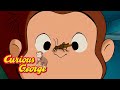 What Sound Do Crickets Make? 🐵 Curious George 🐵 Kids Cartoon 🐵 Kids Movies