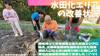 水田化エリア周辺の改善状況【里山再生・土壌改善・里山体験受付中】