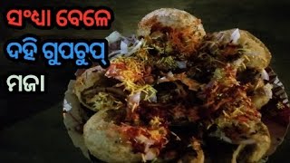 ସଂଧ୍ୟା ବେଳେ ଦହି ଗୁପଚୁପ୍ ର ମଜା 😋।।Odia Vlog।।@Punerukhati