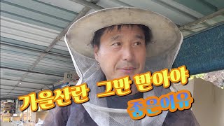 가을산란 그냥두면 손해입니다.