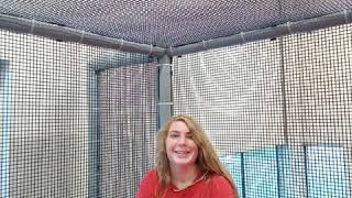 The crazy Zoe pictures. Sept. 2019!