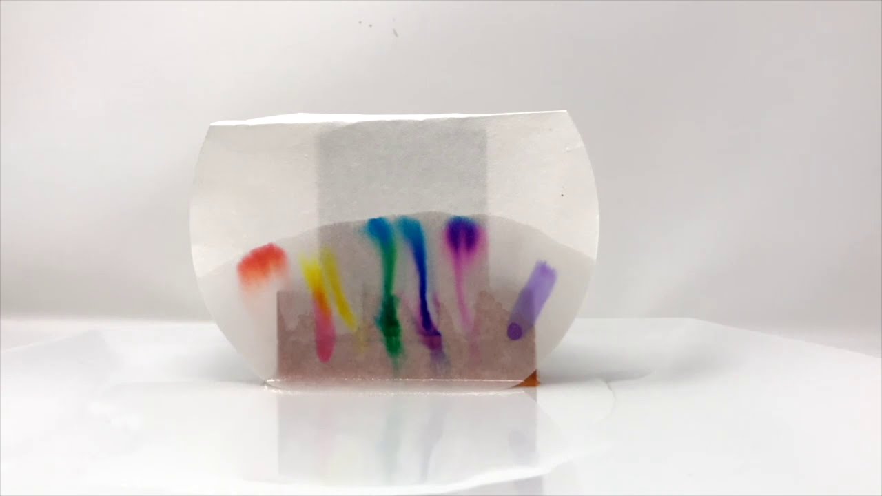 Paper Chromatography Experiment - YouTube