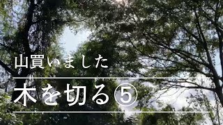 山開拓　木を切る⑤