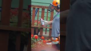 Day 4 of secretly sniping my neighbor #airsoft