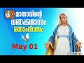 മാതാവിന്‍റെ വണക്കമാസം 1st May 2024 # Vanakkamasam Prayer 2024 May 1 # Mathavinte Vanakkamasam Day 1