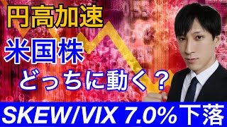 【円高加速】米国でコロナ変異体確認。SKEW÷VIXが７％下落。米国株どっちに動く？S\u0026P500との連動性に注目！！