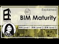 BIM Maturity Level: BIM Level 2, BIM Level 3