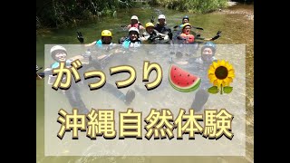 【がっつり！夏休みの沖縄！Gopro HERO 9 BLACK 撮影】のんびりゆっくり沖縄自然体験エコツアー！お子様連れのご家族や体力に自信のない方、のんびりゆっくり沖縄の自然が満喫できるツアー！