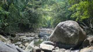 Exploring Thommankuthu Waterfalls - Photos and Videos