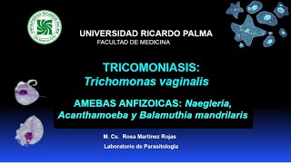 Parasitología - Trichomoniosis – Amebas anfizoicas - sem 14 URP