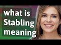 Stabling | meaning of Stabling