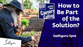 Cauvery Calling How to Be Part of the Solution? - Sadhguru Spot