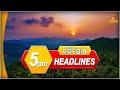 Headlines @5PM | 15th June 2024 | Nandighosha TV