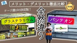 【似ているようで全然違う】パンテオン vs グラステラリウム！究極の爬虫類ケージ対決！【メリット・デメリット】