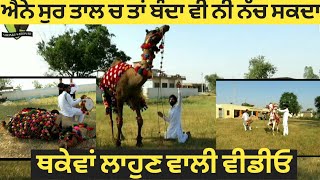 ਅੈਨੇ ਸੁਰ ਤਾਲ ਚ ਤਾਂ ਬੰਦੇ ਨੂੰ ਨੱਚਣਾ ਅੌਖਾ ਜਿੰਨੇ ਚ ਘੋੜੀ ਤੇ ਬੋਤੇ ਨੇ ਨੱਚਕੇ ਦਿਖਾ ਤਾ