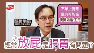 【腸道】醫健頻道｜經常放屁是否腸胃問題 - 張世華醫生@ehc.tv