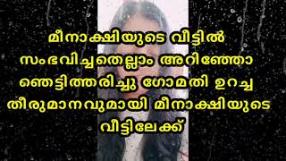 മീനാക്ഷിയുടെ വീട്ടിൽ സംഭവിച്ചതെല്ലാം അറിഞ്ഞോ ഞെട്ടിത്തരിച്ചു ഗോമതി #santhwanam #today #05