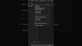 How To Import PREMIERE PRO .prfpset PRESETS