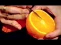 Orange Simple Flower - Beginners Lesson 14 By Mutita The Art Of Fruit And Vegetable Carving Tutorial Orange Simple Flower - Beginners Lesson 14 By Mutita The Art Of Fruit And Vegetable Carving Tutorial