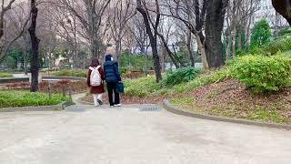 Shinjuku Chuo Park Tokyo Japan 新宿区立新宿中央公園