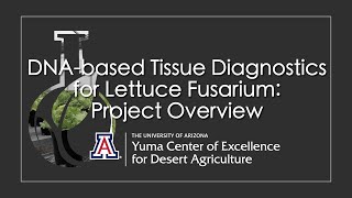 DNA-based Tissue Diagnostics for Lettuce Fusarium Project Overview