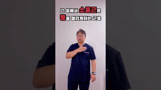 소흉근(pectoralis minor) 알아보기