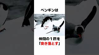 知ったら誰かに話したくなる動物の雑学①#雑学#動物 ＃動物園＃動物雑学＃雑学動画