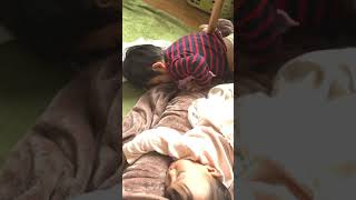 【お昼寝】Twin babies take a nap 双子が仲良くお昼寝😴😴どこで寝ているかな？？