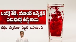 Best Remedy for Blood Purification | Cool your Body | Urine Infections | Dr. Manthena's Health Tips