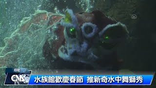 印尼業者賀新春 秀水中舞獅｜中央社影音新聞