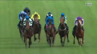 2022 Qipco British Champions Long Distance Cup G2 - Trueshan (真章) - H.Doyle