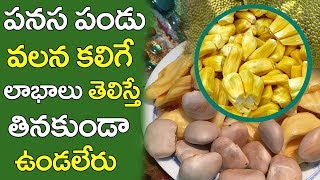 Amazing Health Benefits Of Jack Fruits|పనస పండు వలన కలిగే ప్రయోజనాలు|Uses Of Jack Fruit Panasa Pandu