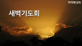 역곡동교회 20.04.23 새벽기도회 온라인예배