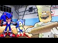 SONIC.EXE AND BABY SONIC VS ESCAPE PAPA PIZZA PIZZERIA IN ROBLOX