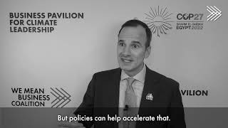 Jon Creyts, Chief Executive Officer at RMI - COP27