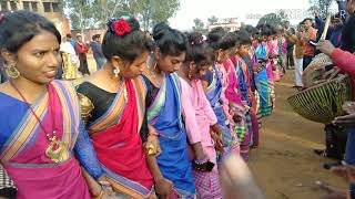 S.p college Dumka // jiwi ragok tin // Santali sohrai video song // Jharkhand // 2020 // 1080p . Mp4