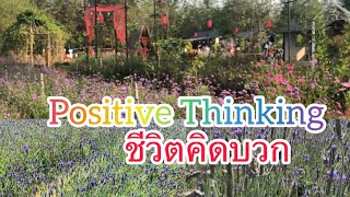 ชีวิตคิดบวก ทุ่งลาเวนเดอร์  #lavenderField #positivethinking