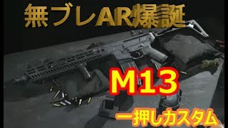 【COD:MW】無ブレAR爆誕！M13カスタム紹介【こたろうのススメ】