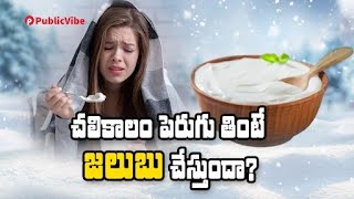 చ‌లికాలం పెరుగు తింటే జలుబు చేస్తుందా? | Curd: Why you shouldn't avoid it this winter | PV Telugu