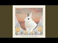 Scared Rabbit