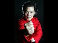 GM William Cheung Traditional Wing Chun Chi Sao and Trapping Technique