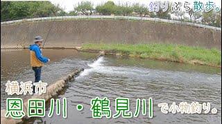 【小物釣り】身近な川！横浜市の恩田川 鶴見川で小物釣り。【淡水】