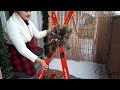 novogodiŠnja dekoracija ulaza christmas porch decoration 🎄✨️🎀