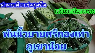 พันนิ้วบายศรีเตรียมทำกลีบกระทง1,000นิ้วเมื่อยนิ้วมือเลย