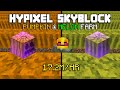 How MelonKing Farms 17.2 MILLION COINS Per Hour in Hypixel Skyblock